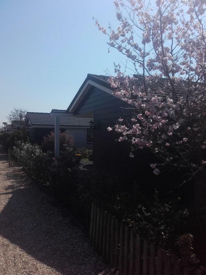 Cosy Petten, Family Only Екстериор снимка